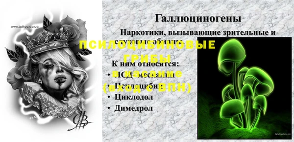 сатива Алексин