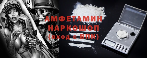шишки Киренск